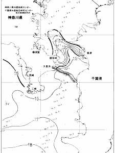 東京湾口海況図(2019/02/12)