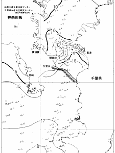東京湾口海況図(2019/02/13)