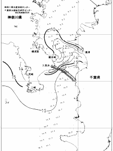 東京湾口海況図(2019/02/14)