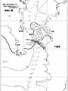 東京湾口海況図(2019/02/16)