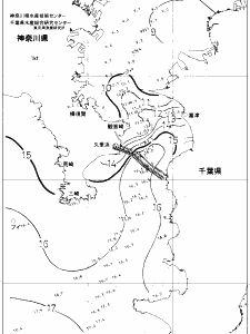 東京湾口海況図(2019/02/17)
