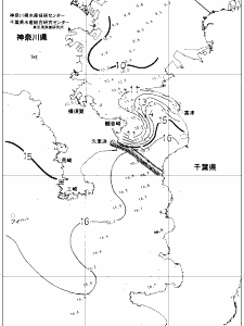 東京湾口海況図(2019/02/21)