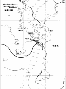 東京湾口海況図(2019/02/24)