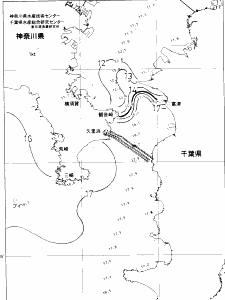 東京湾口海況図(2019/03/11)