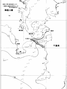 東京湾口海況図(2019/03/12)