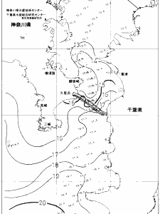 東京湾口海況図(2019/03/21)