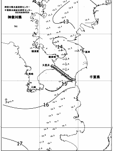 東京湾口海況図(2019/04/05)