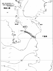 東京湾口海況図(2019/04/24)