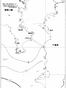 東京湾口海況図(2019/05/06)
