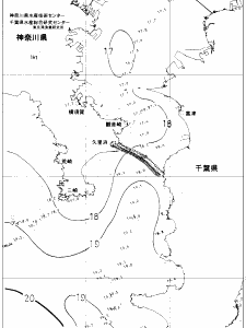 東京湾口海況図(2019/05/08)