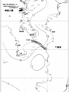 東京湾口海況図(2019/05/10)