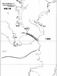 東京湾口海況図(2019/05/17)