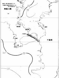 東京湾口海況図(2019/05/20)