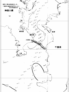 東京湾口海況図(2019/05/23)