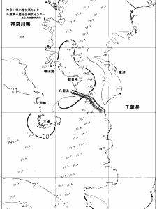 東京湾口海況図(2019/05/31)