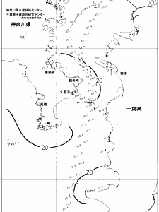東京湾口海況図(2019/06/01)
