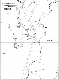 東京湾口海況図(2019/06/02)