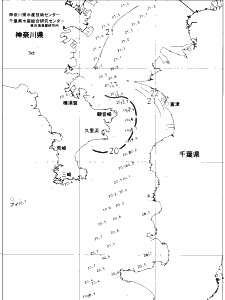 東京湾口海況図(2019/06/03)