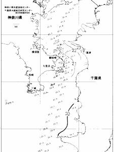 東京湾口海況図(2019/06/04)