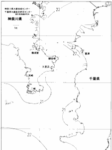 東京湾口海況図(2019/06/07)