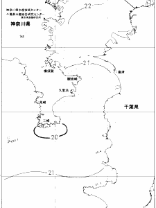 東京湾口海況図(2019/06/08)