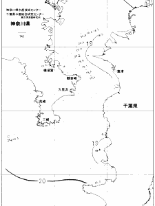 東京湾口海況図(2019/06/11)