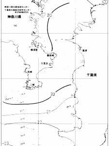 東京湾口海況図(2019/06/12)