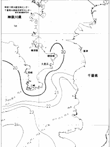 東京湾口海況図(2019/06/13)