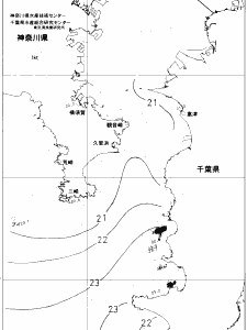 東京湾口海況図(2019/06/14)
