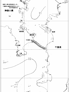 東京湾口海況図(2019/06/19)