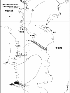 東京湾口海況図(2019/06/21)