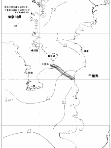 東京湾口海況図(2019/06/22)