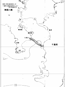 東京湾口海況図(2019/06/23)