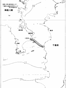 東京湾口海況図(2019/06/24)