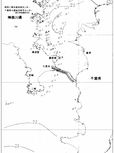 東京湾口海況図(2019/06/25)