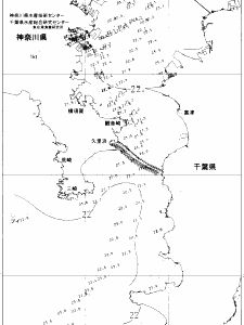 東京湾口海況図(2019/07/06)