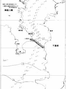 東京湾口海況図(2019/07/13)