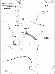 東京湾口海況図(2019/07/19)