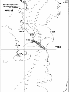 東京湾口海況図(2019/07/21)