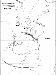 東京湾口海況図(2019/07/24)