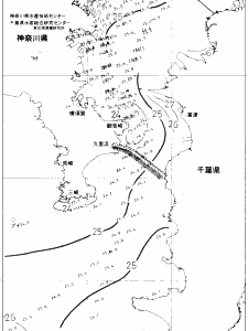東京湾口海況図(2019/07/26)