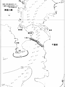 東京湾口海況図(2019/08/03)