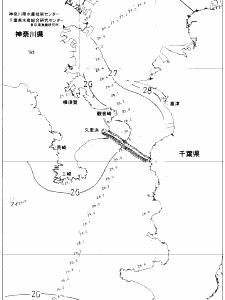 東京湾口海況図(2019/08/09)