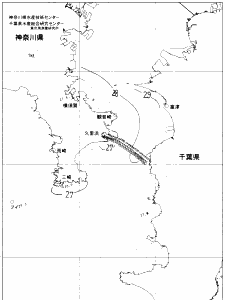 東京湾口海況図(2019/08/12)