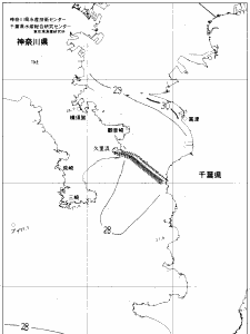 東京湾口海況図(2019/08/13)