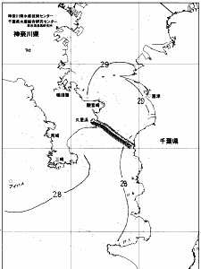 東京湾口海況図(2019/08/14)
