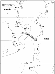 東京湾口海況図(2019/08/15)