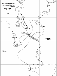 東京湾口海況図(2019/08/17)