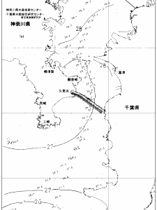 東京湾口海況図(2019/08/19)