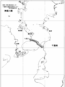 東京湾口海況図(2019/08/20)